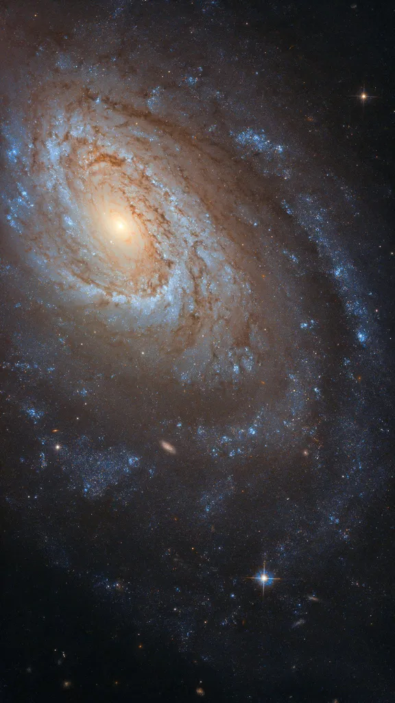 A spiral galaxy photographed by a space telescope